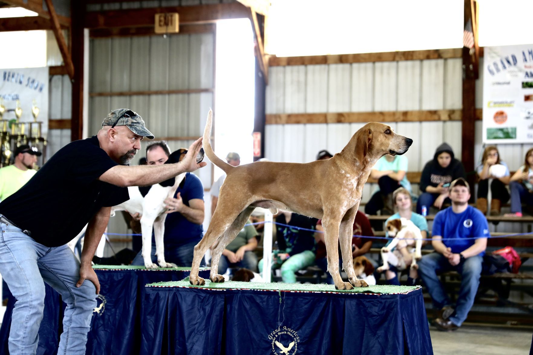 Grand American 2020